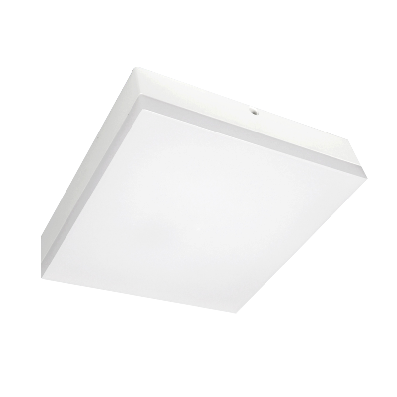 LG09F LED Ceiling Light